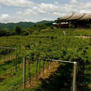 华欣葡萄园（HUA HIN HILLS VINEYARD）
