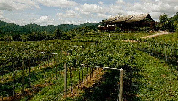 华欣葡萄园（HUA HIN HILLS VINEYARD）