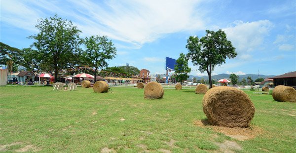 华欣的瑞士绵羊庄园（Swiss Sheep Farm）