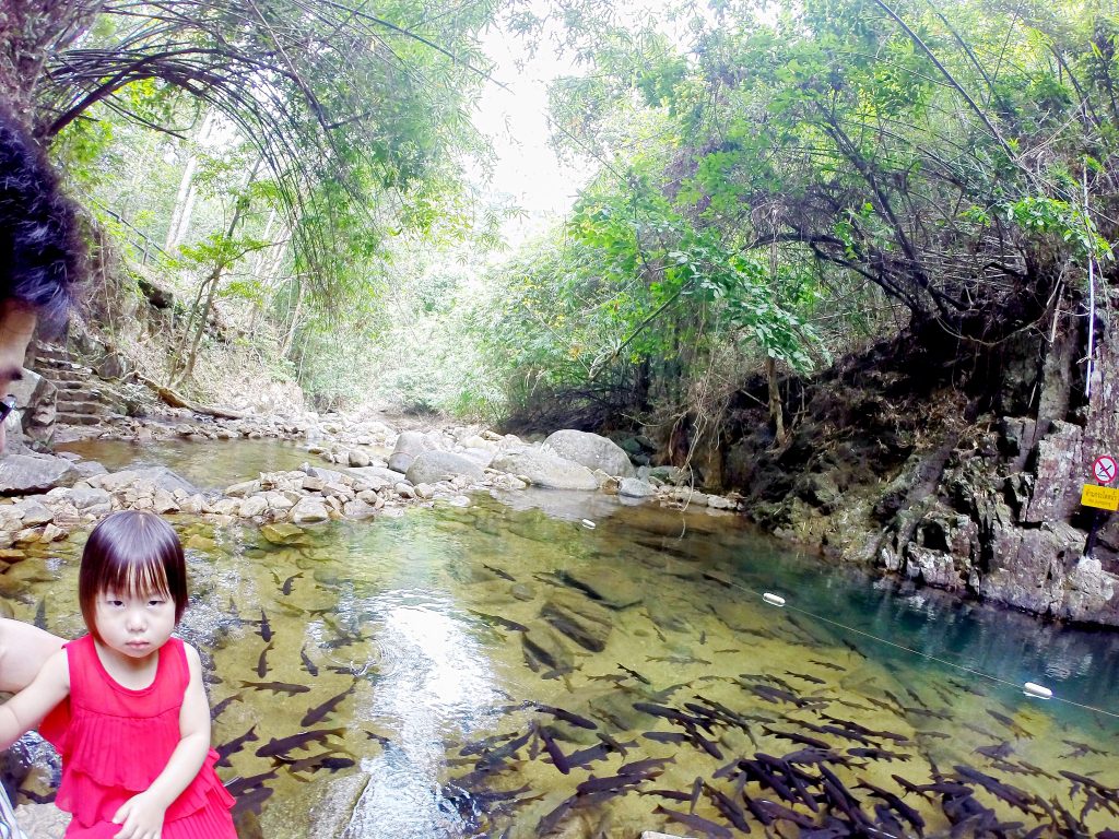 2017年春节泰国曼谷-ChaoLao-象岛-七岩自驾游
