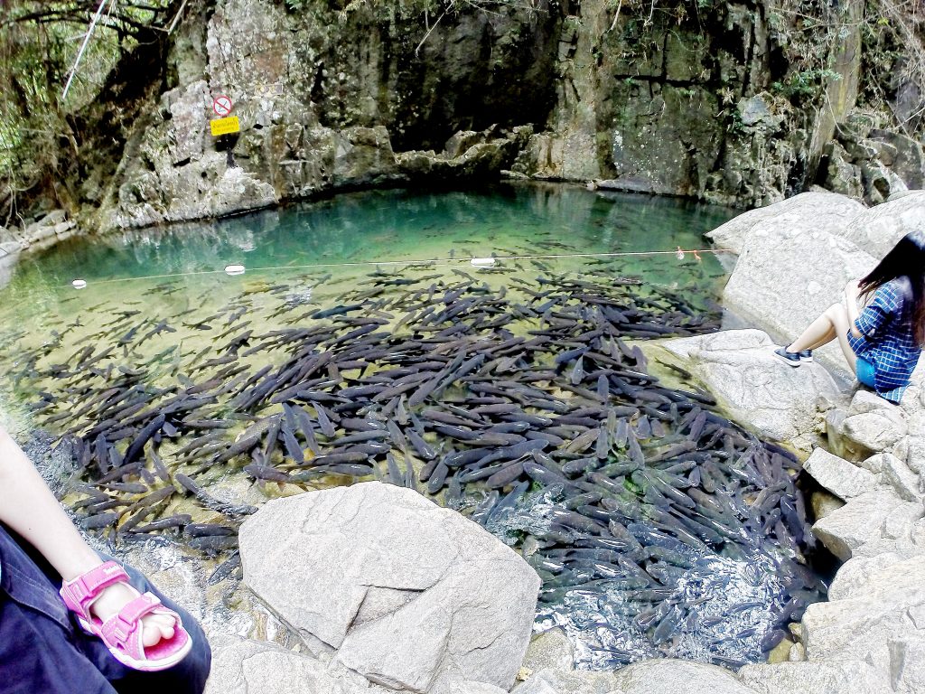 2017年春节泰国曼谷-ChaoLao-象岛-七岩自驾游
