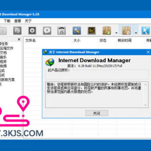 IDM绿色版 : 强大的下载工具