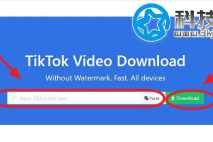 Snaptik - tiktok无水印下载工具(含教程)