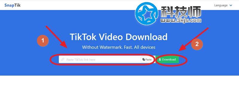 Snaptik - tiktok无水印下载工具(含教程)