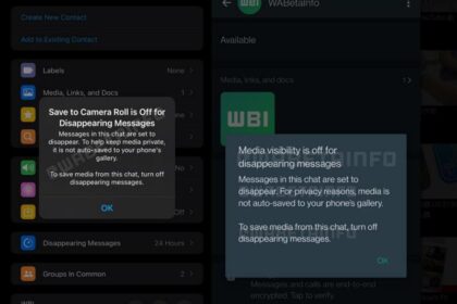 WhatsApp改进自动删除信息:照片/视频文件不再储存?