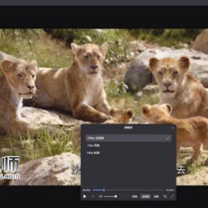 阿里云盘无会员版本(无需会员的阿里云盘)[支持PC/安卓]