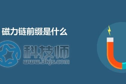 磁力链前缀是什么(磁力链下载链接的前缀)