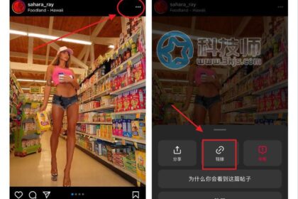 SnapInsta - ins图片视频下载工具(含使用教程)