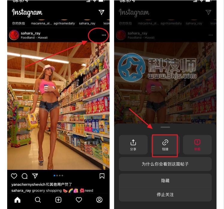 SnapInsta - ins图片视频下载工具(含使用教程)