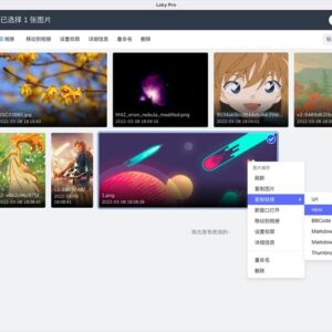 兰空图床(Lsky Pro)  - php图床源码程序