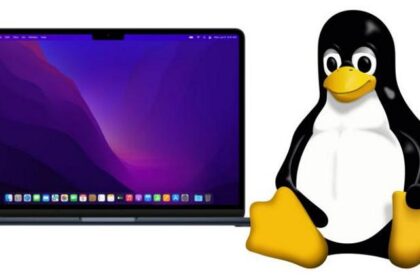 Linus Torvalds 用 M2 MacBook Air 发布 Linux 5.19