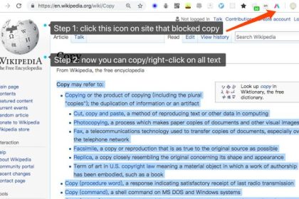 Simple Allow Copy - 解决网页内容无法复制的谷歌浏览器插件