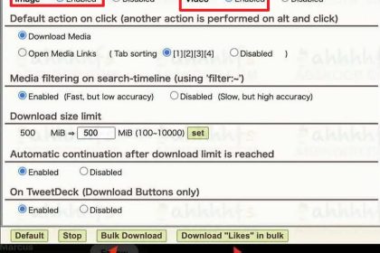 Twitter Media Downloader_谷歌浏览器下载推特视频图片的插件[含使用教程]