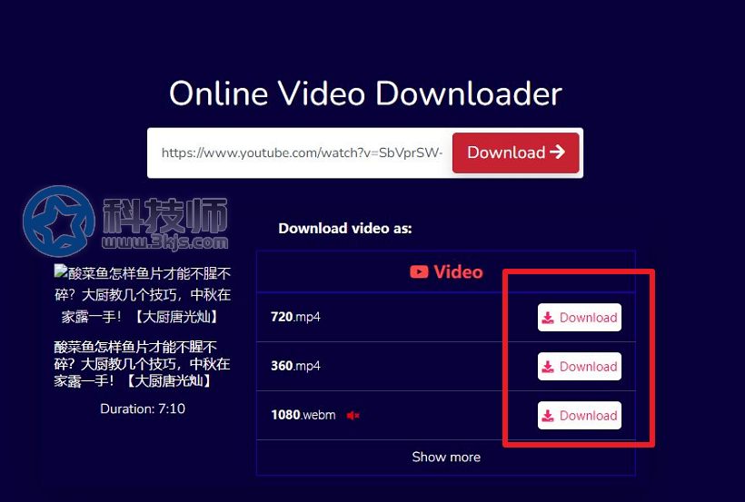 ssyoutube - youtube油管视频下载工具(含使用教程)