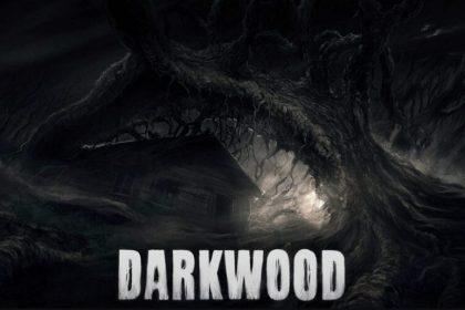 [Epic喜加一] 阴暗森林(Darkwood)限免 ：垂直视角的动作恐怖游戏