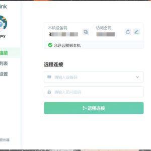 RayLink_远程控制软件(附教程)