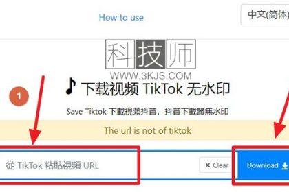 SaveTik_tiktok视频下载(含教程)