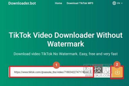 Downloader.bot - tiktok视频下载(含教程)
