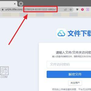城通网盘解析器_诚通网盘在线解析(含教程)