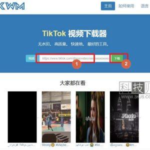 tikwm_tiktok视频下载(含教程)
