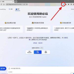 Bing Unchained - 在谷歌浏览器Chrome中使用新Bing(Chrome插件)