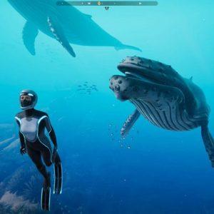 [Epic喜加一] 深海超越(Beyond Blue) - 海洋为主题的探索游戏