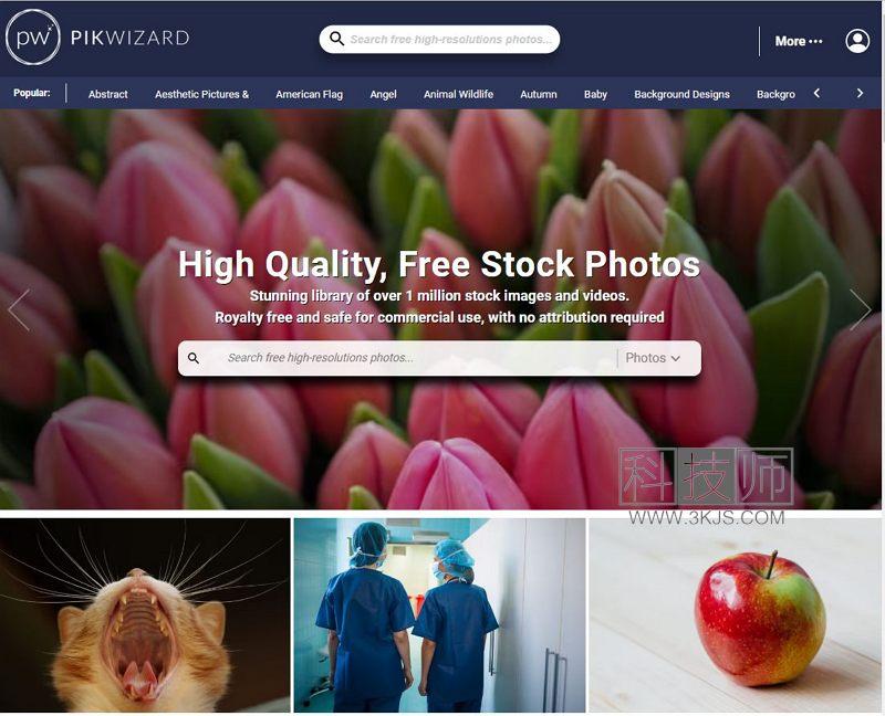 PikWizard - 免版权商用图片视频素材下载网站(含教程)