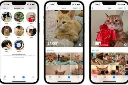 iOS 17 可从照片中识别你的宠物