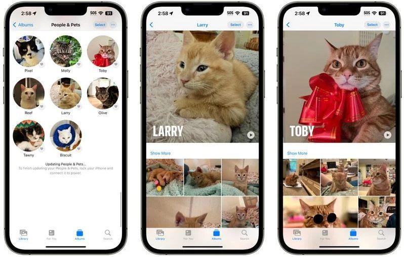 iOS 17 可从照片中识别你的宠物