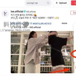 SnapTik.app - TikTok视频无水印解析下载在线工具(附教程)