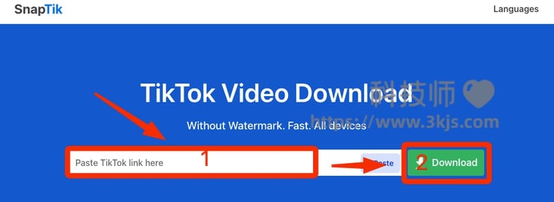 SnapTik.app - TikTok视频无水印解析下载在线工具