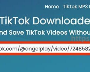 SaveTT - TikTok无水印视频下载在线工具(含教程)