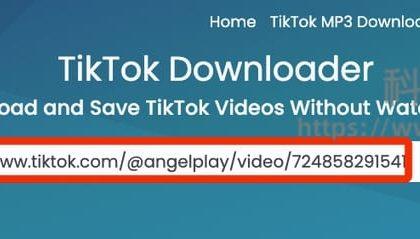 SaveTT - TikTok无水印视频下载在线工具(含教程)