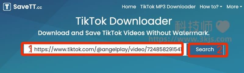 SaveTT - TikTok无水印视频下载在线工具(含教程)
