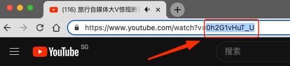 youtube如何循环播放(youtube循环播放工具及教程)