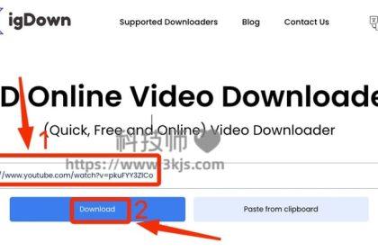 igDown - 免费下载在线视频的在线工具(含教程)