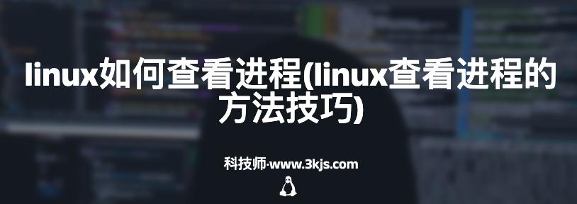 linux如何查看进程(linux查看进程的方法技巧)