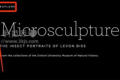 Microsculpture - 昆虫图片大全在线网站(含教程)
