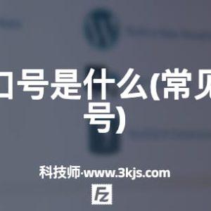ftp默认端口号是什么(常见的ftp端口号)
