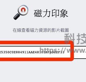 磁力印象 - 在线预览磁力资源(附教程)