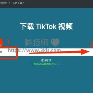Qload - tiktok视频下载在线工具(含教程)