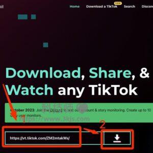 Tik.fail - tiktok视频下载以及tiktok视频镜像站(含教程)