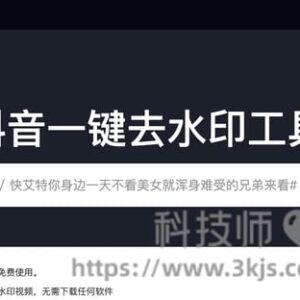 x2e - 抖音去水印解析网站(含教程)