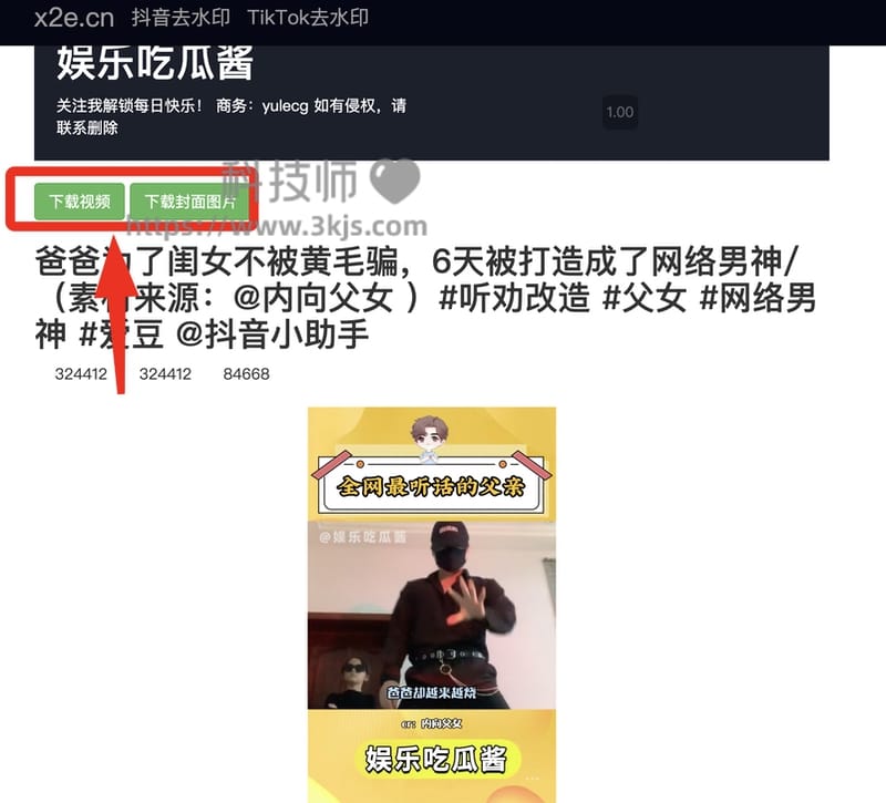 x2e - 抖音去水印解析网站(含教程)	