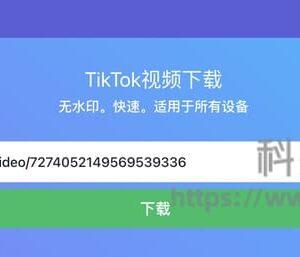 TTTIK - TikTok视频无水印下载工具(含教程)