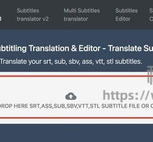 Subtitle Translator - 字幕翻译在线工具(含教程)