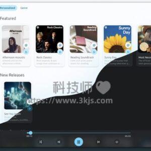 Spotube - 第三方Spotify客户端
