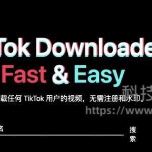 Tiker - tiktok视频无水印下载在线工具(含教程)