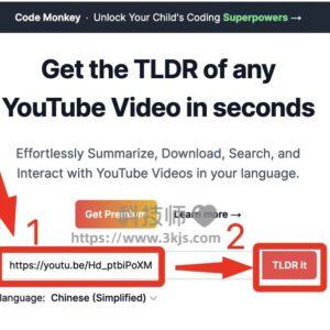 you-tldr :Youtube视频文字总结AI在线工具