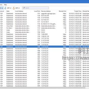 TCPView - windows查看网络连接工具